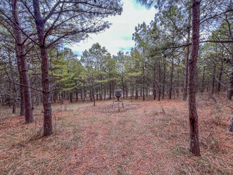 0 Oakland Church Road , Chandlersville, OH 43727 Photo 3