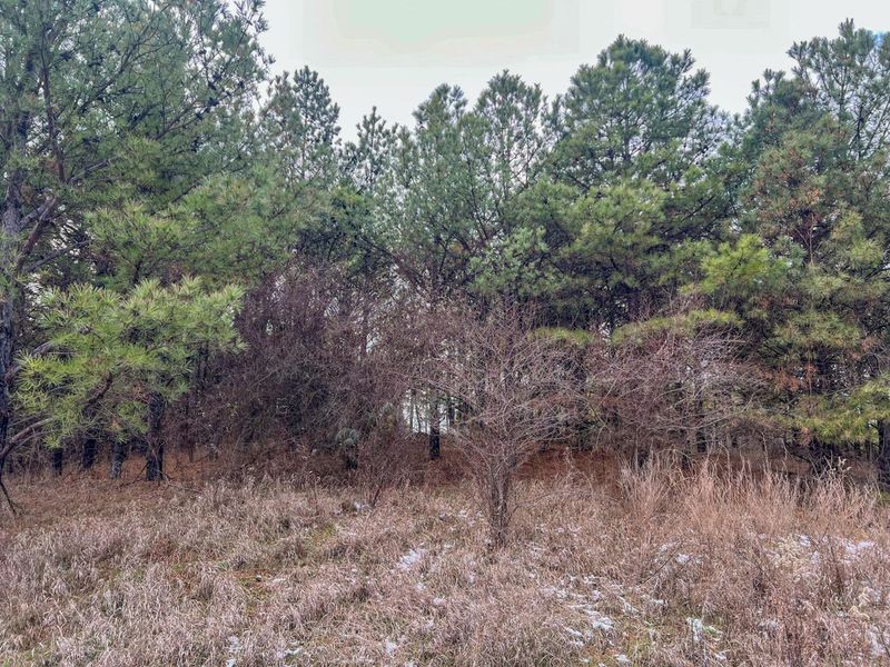 0 Oakland Church Road , Chandlersville, OH 43727 Photo 32