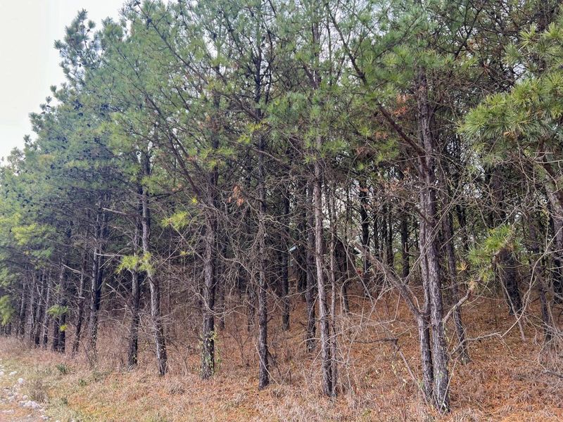 0 Oakland Church Road , Chandlersville, OH 43727 Photo 33