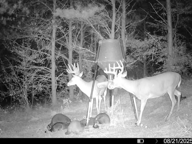 0 Oakland Church Road , Chandlersville, OH 43727 Photo 34