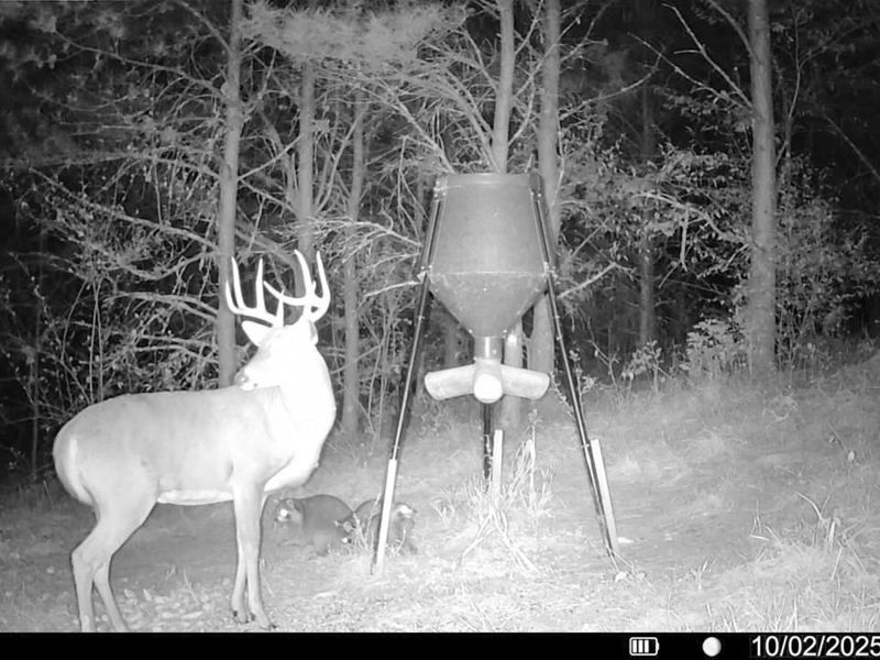 0 Oakland Church Road , Chandlersville, OH 43727 Photo 37