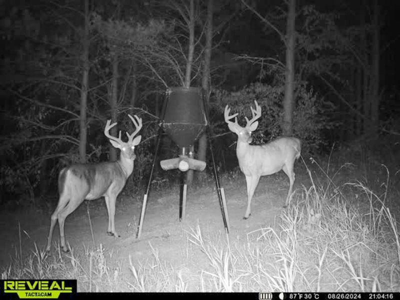 0 Oakland Church Road , Chandlersville, OH 43727 Photo 38