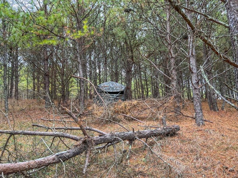 0 Oakland Church Road , Chandlersville, OH 43727 Photo 4