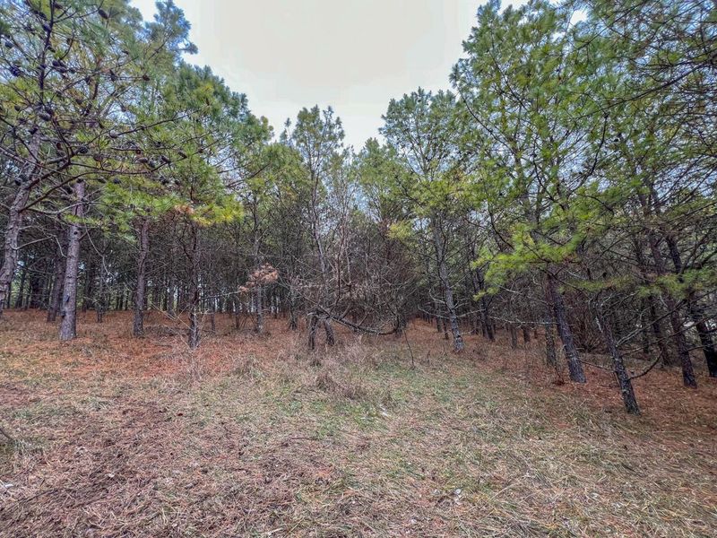 0 Oakland Church Road , Chandlersville, OH 43727 Photo 5