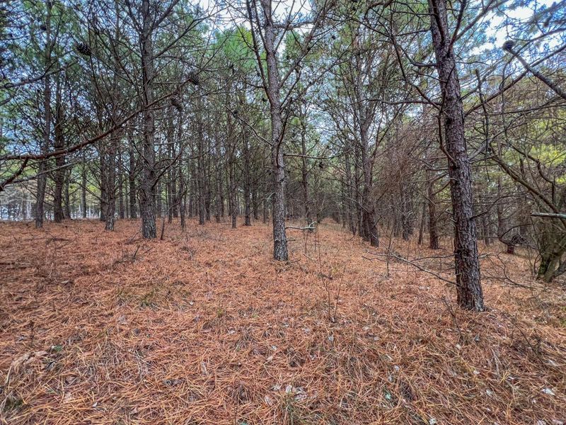 0 Oakland Church Road , Chandlersville, OH 43727 Photo 7