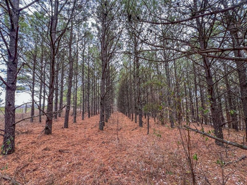 0 Oakland Church Road , Chandlersville, OH 43727 Photo 8