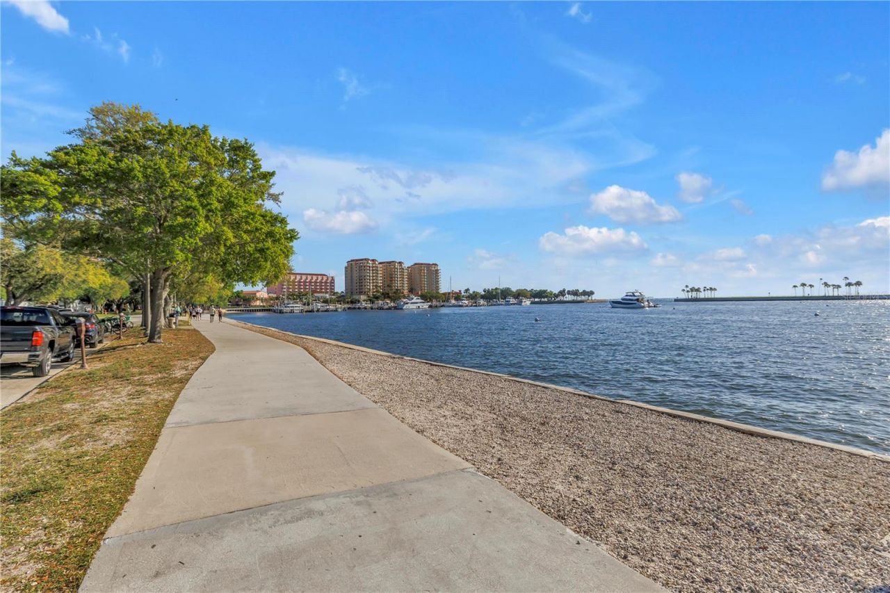 224 6th Avenue N, Unit 7, Saint Petersburg, FL 33701 Photo