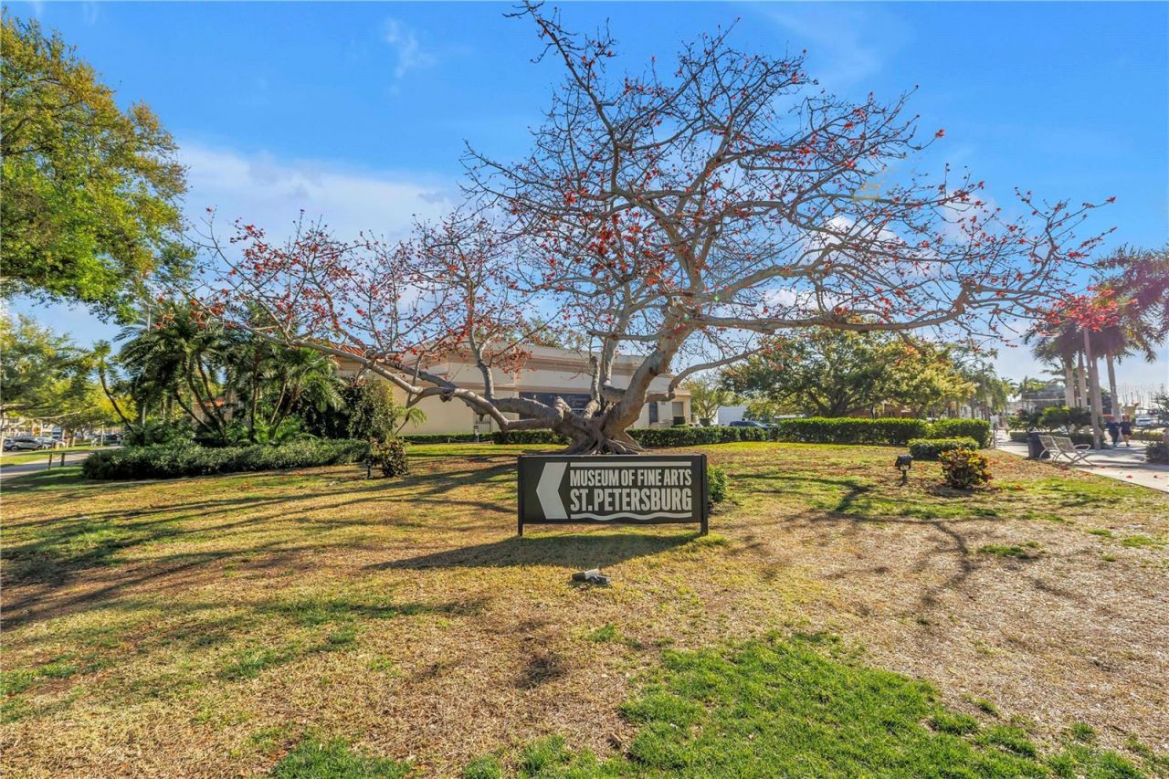 224 6th Avenue N, Unit 7, Saint Petersburg, FL 33701 Photo