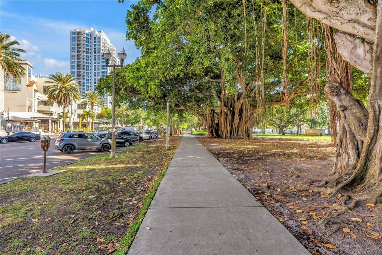 224 6th Avenue N, Unit 7, Saint Petersburg, FL 33701 Photo