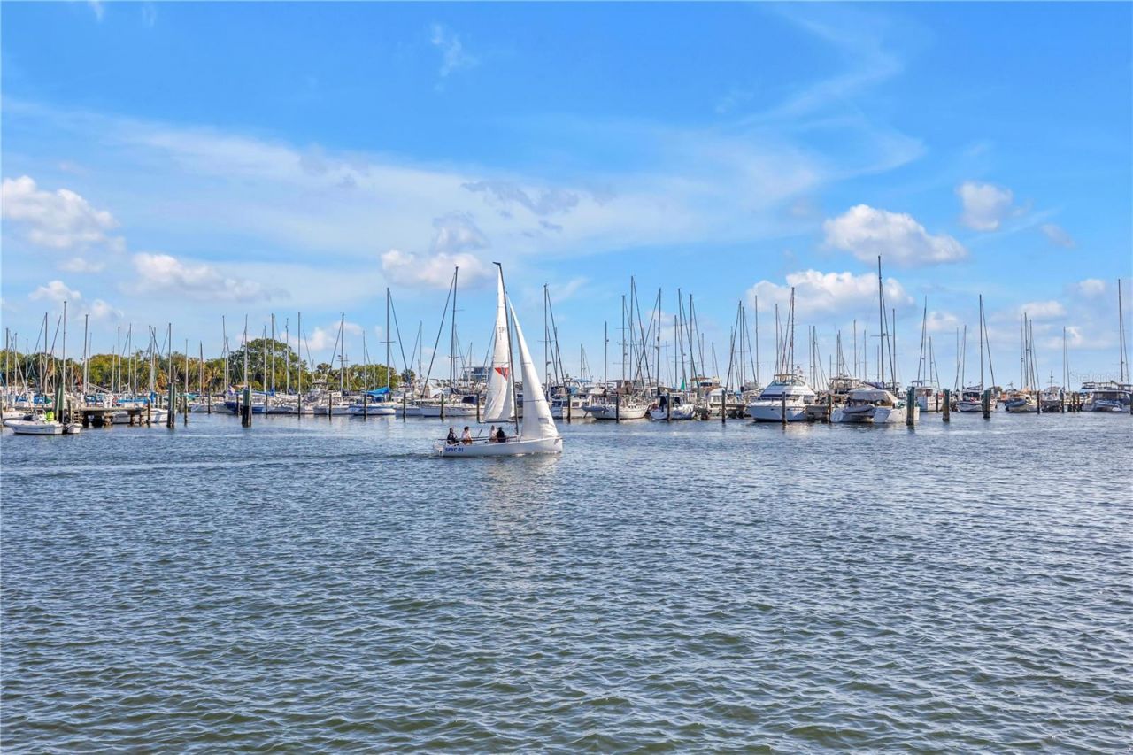 224 6th Avenue N, Unit 7, Saint Petersburg, FL 33701 Photo