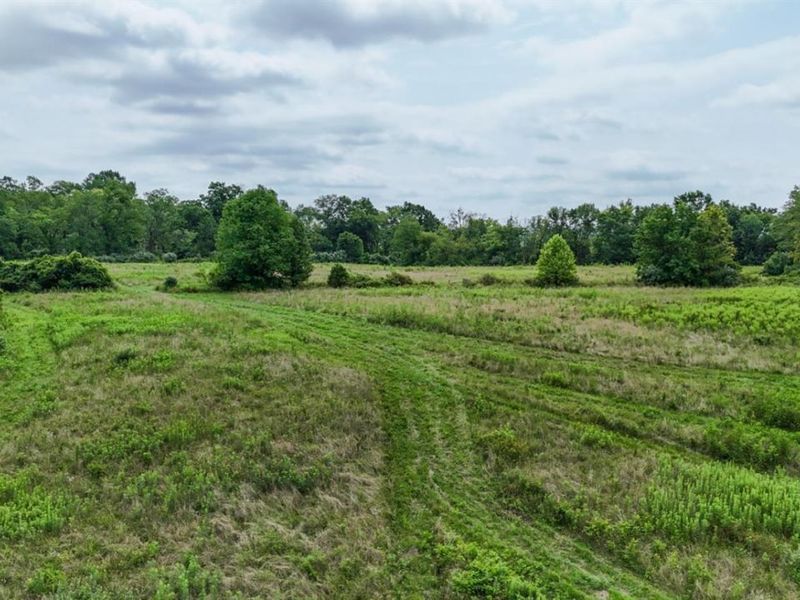 9 Trailside Estates, Unit Lot 9, Loveland, OH 45140 Photo 8