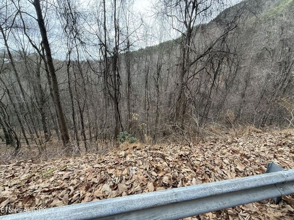 Lot 34 Alpine Drive, Sevierville, TN 37876