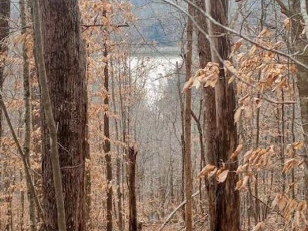 Whistle Valley Rd, New Tazewell, TN 37825