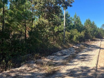 BFF 1D JC Barefoot Road, Unit BFF 1B, Patrick, SC 29584