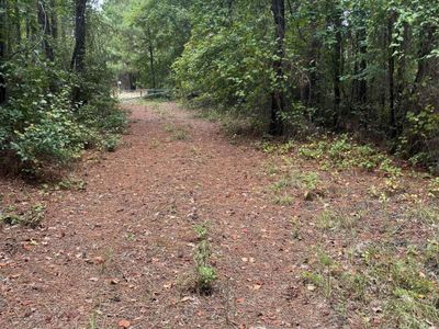 BHL 7 Boise Cascade Road , Bethune, SC 29009