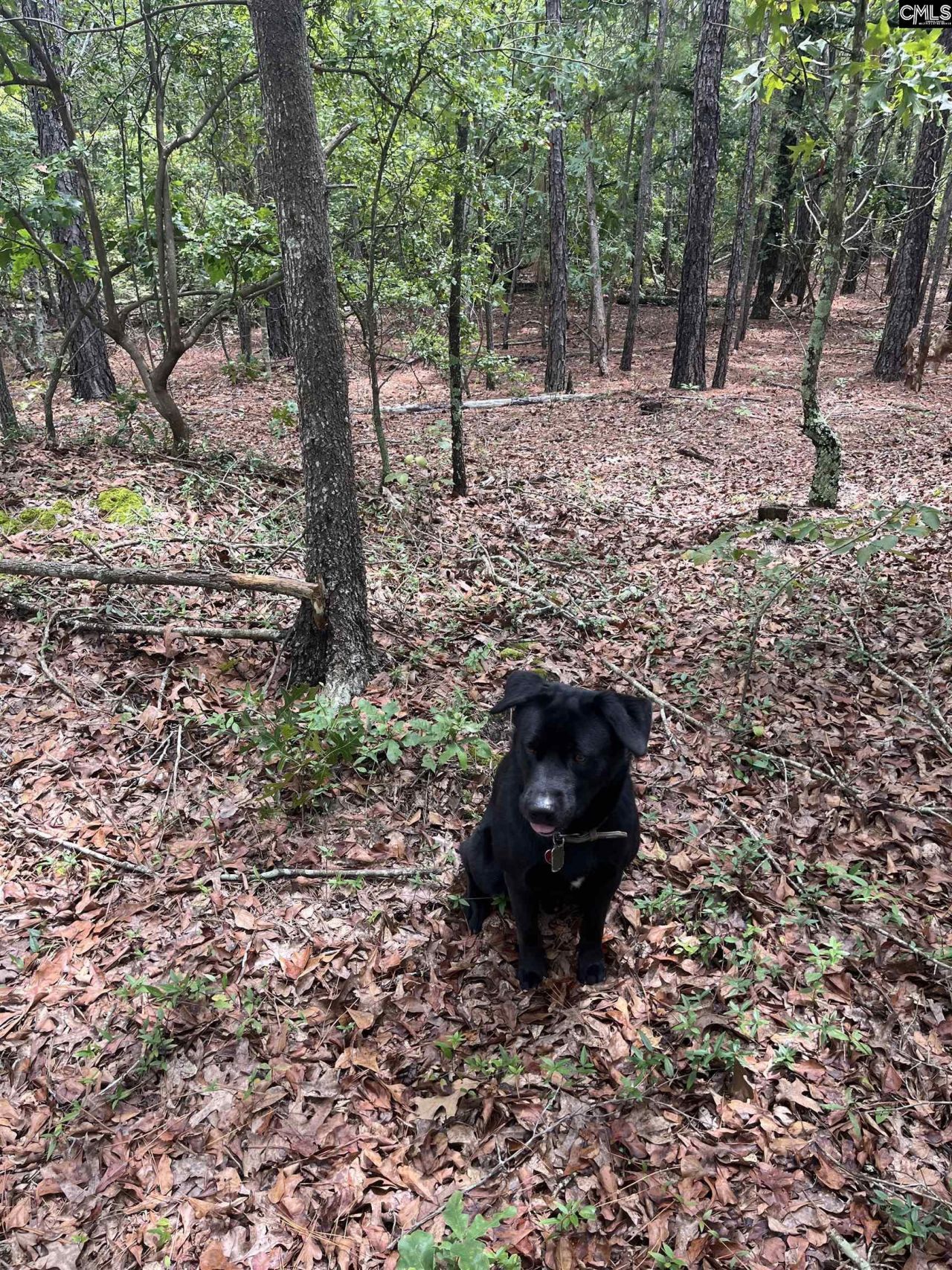 Bhl 7 Boise Cascade Road  Photo 12