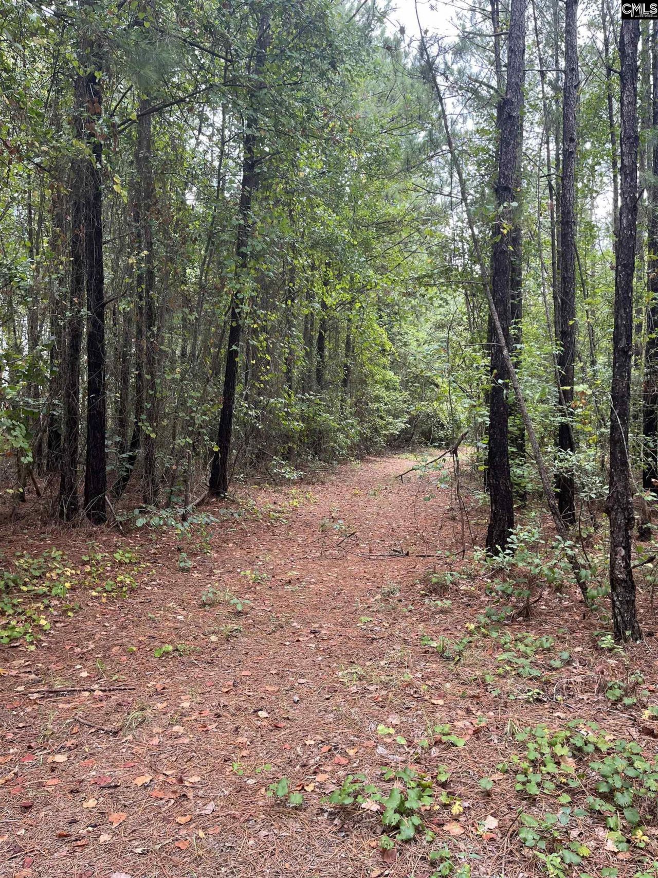 Bhl 7 Boise Cascade Road  Photo 14