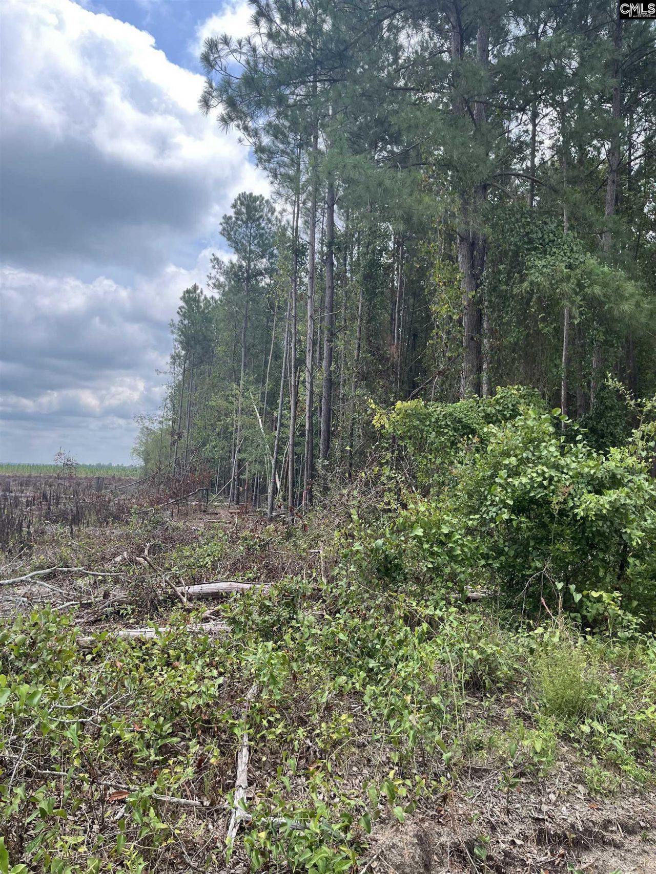 Bhl 7 Boise Cascade Road  Photo 16