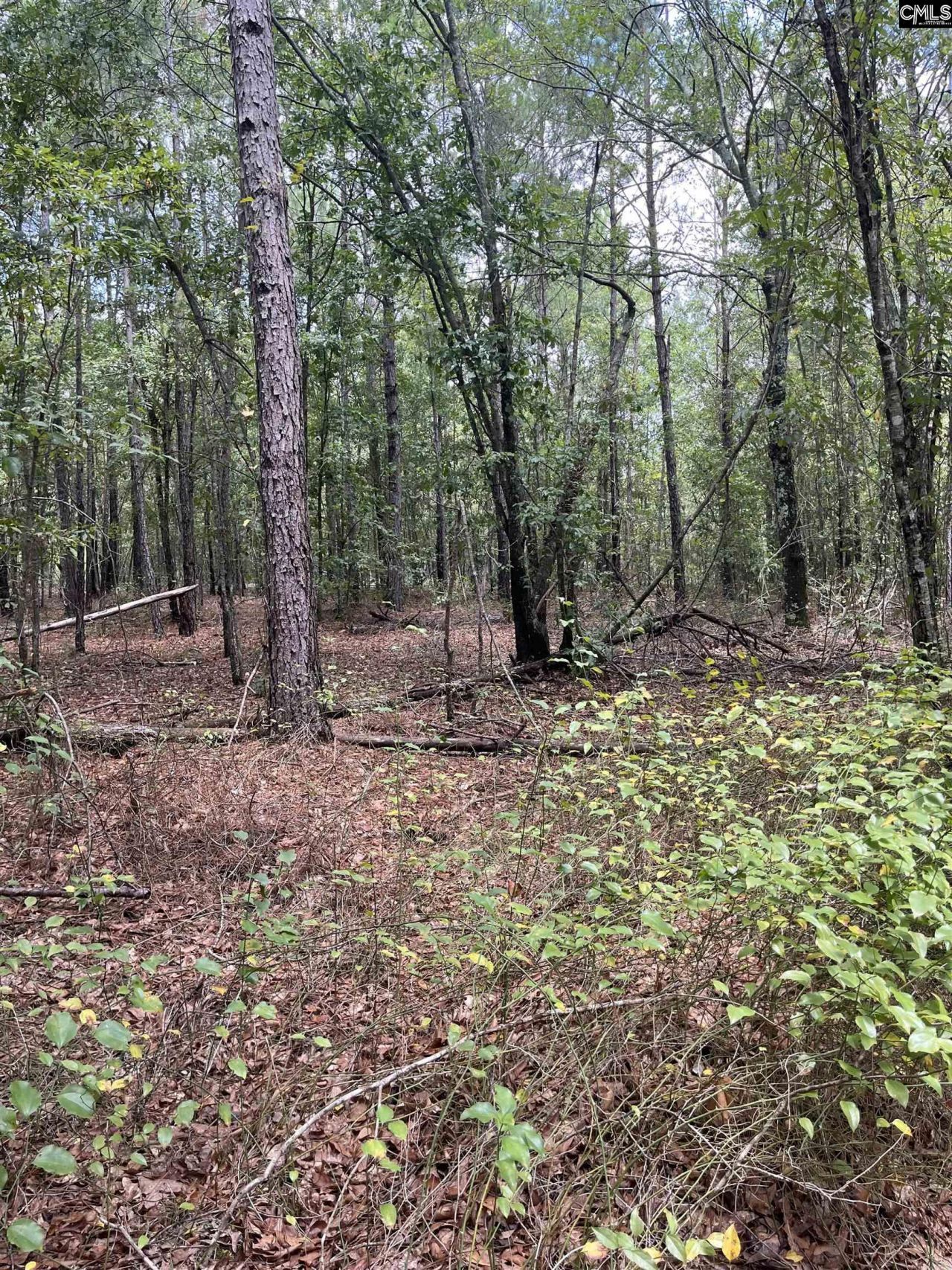 Bhl 7 Boise Cascade Road  Photo 17