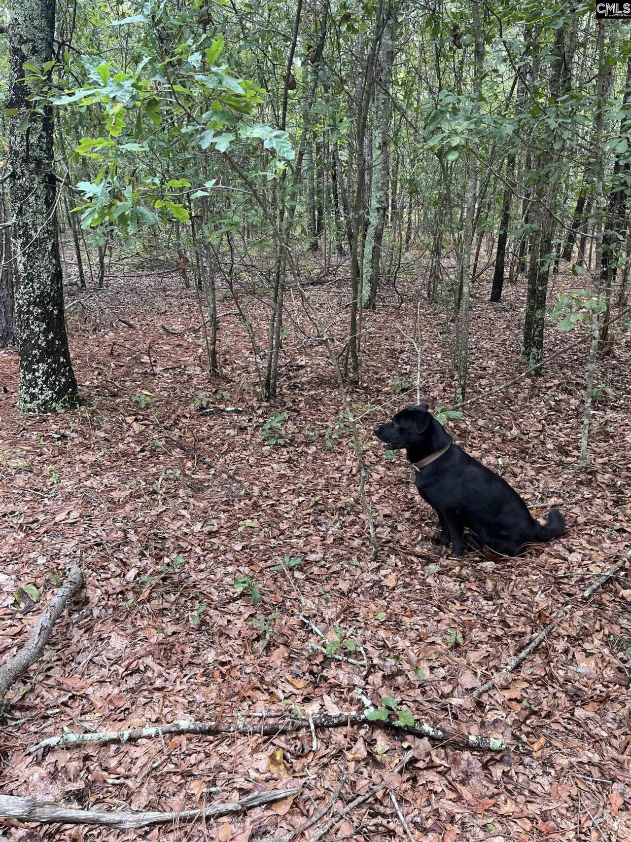 Bhl 7 Boise Cascade Road  Photo 19