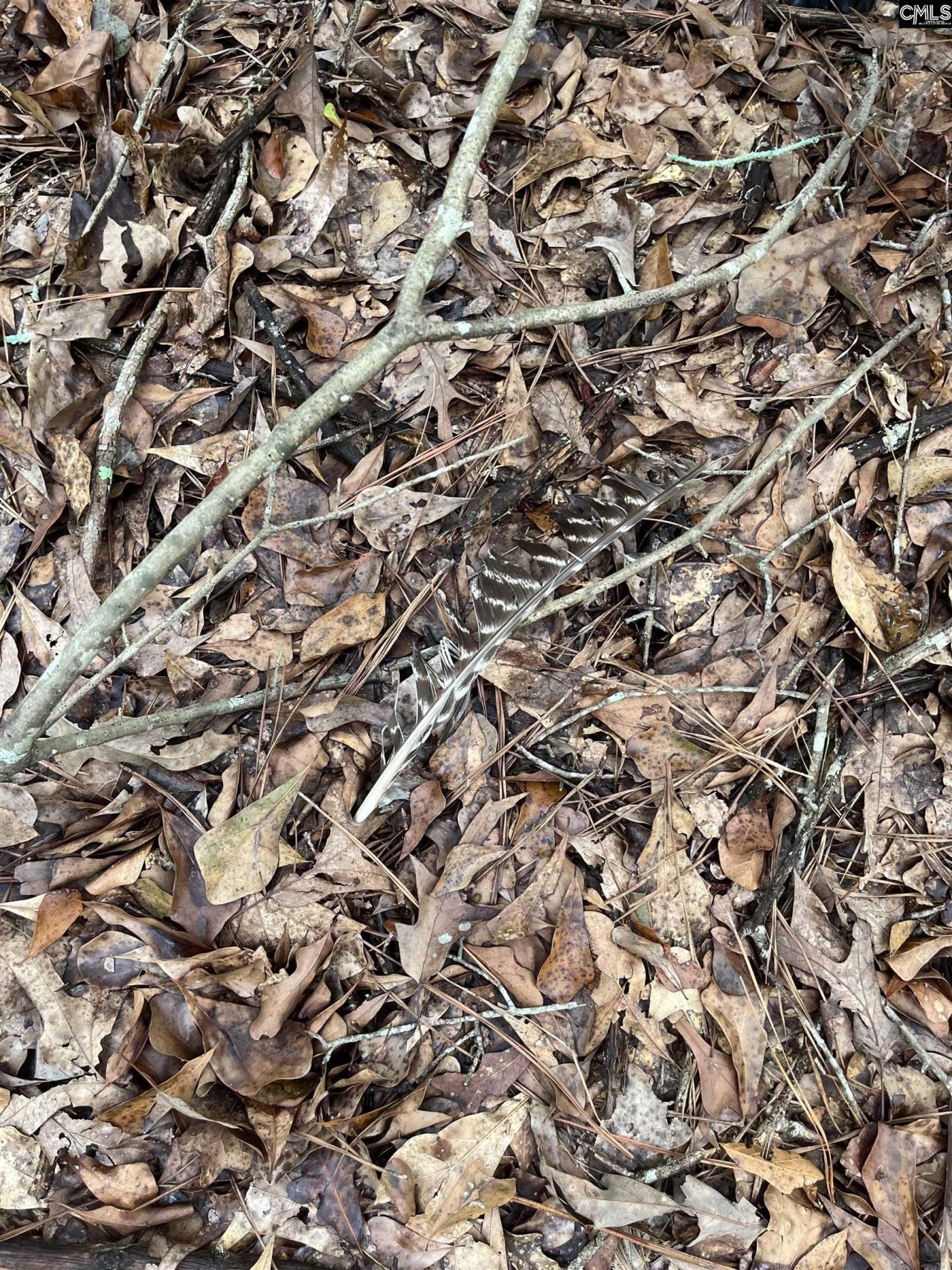 Bhl 7 Boise Cascade Road  Photo 20