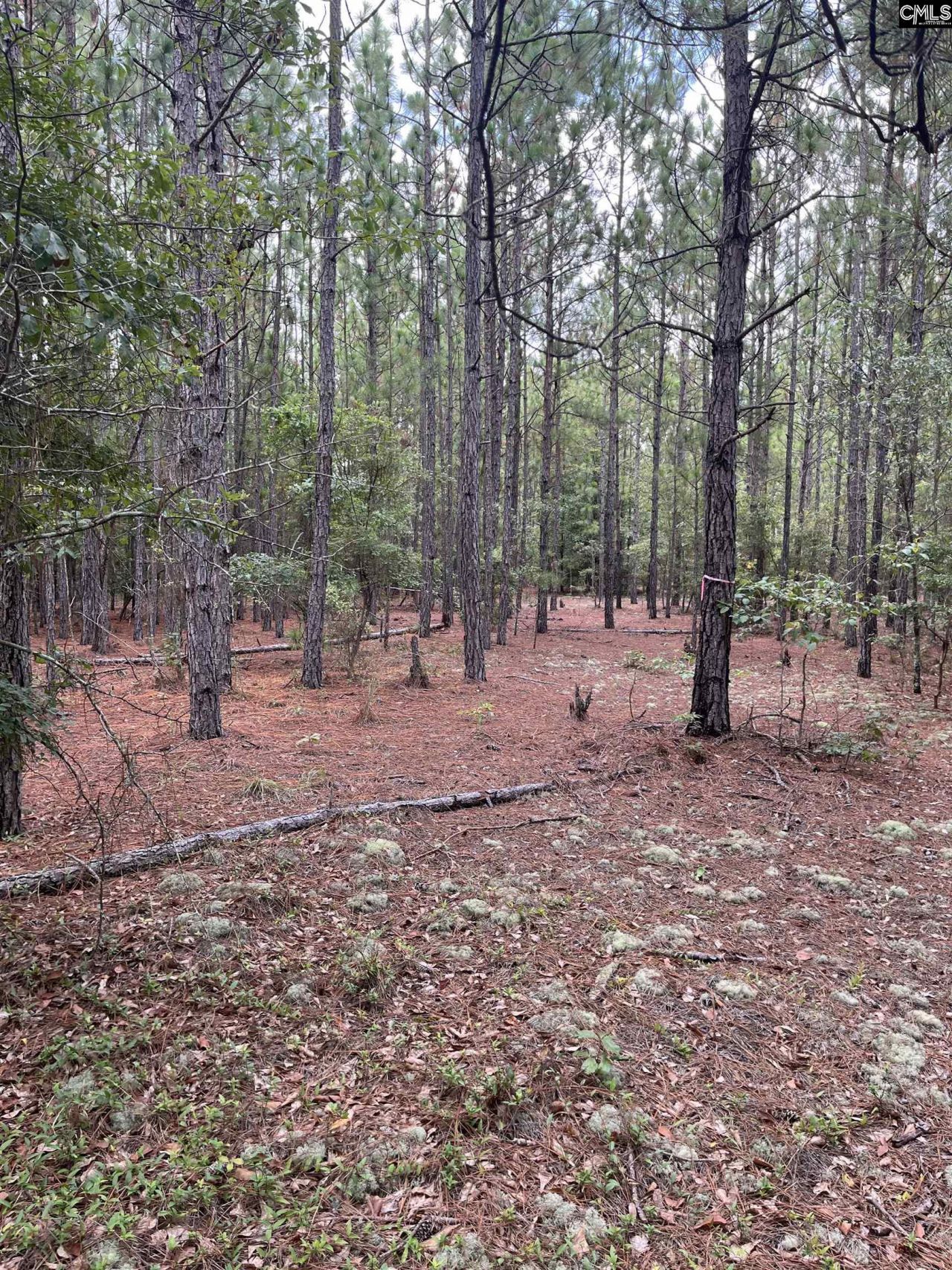 Bhl 7 Boise Cascade Road  Photo 21