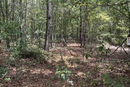 Bhl 7 Boise Cascade Road  photo 4