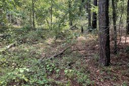 Bhl 7 Boise Cascade Road  photo 4