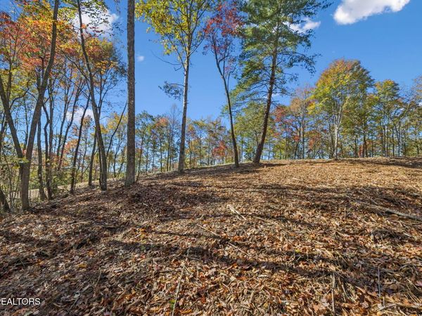 Sheep Ranch Rd., Robbins, TN 37852