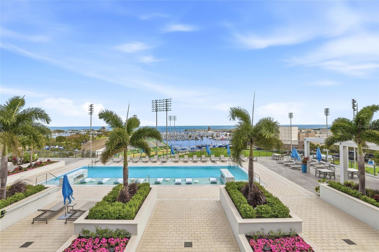 301 1st Street S, Unit 802, Saint Petersburg, FL 33701 Photo