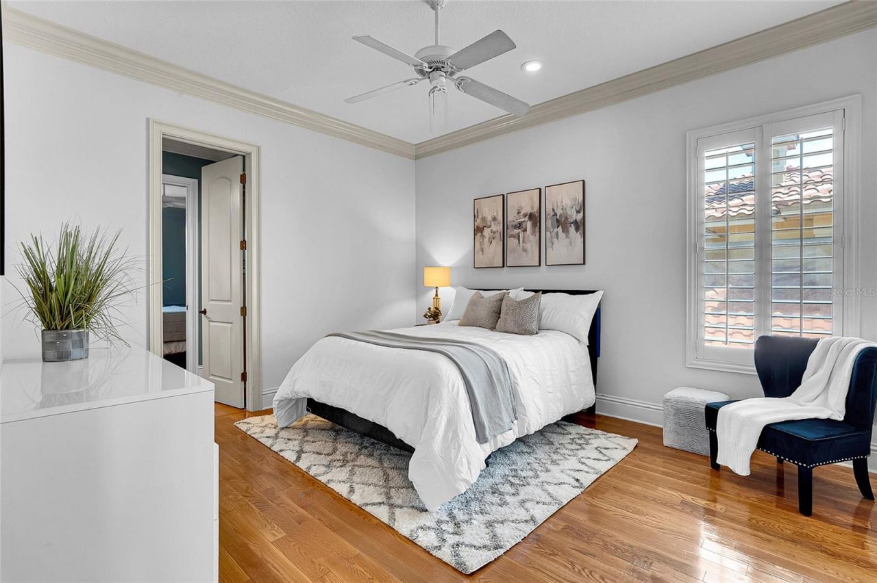 8707 Silverthorn Road, Seminole, FL 33777 Photo