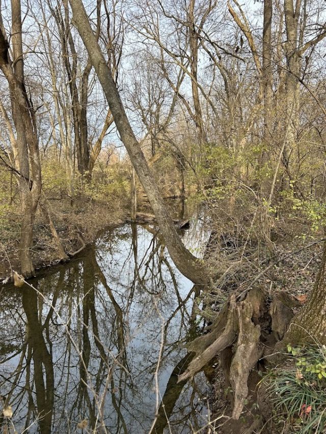 5680 W Tackett Drive Fayetteville, AR 72704