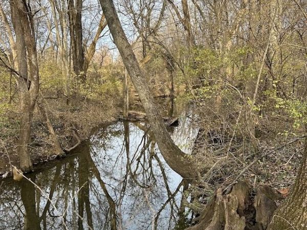 5680 W Tackett Drive, Fayetteville, AR 72704