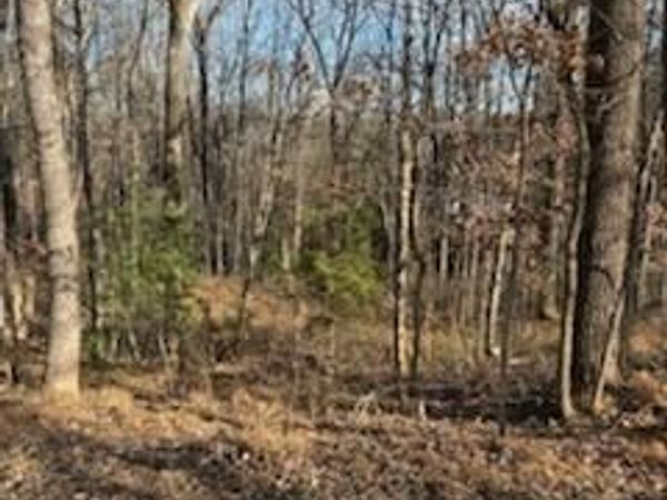 0 Sunnycrest RD , Roanoke, VA 24018