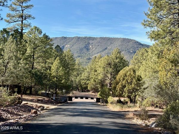 19 N ELK RUB Lane, Unit 19, Pine, AZ 85544