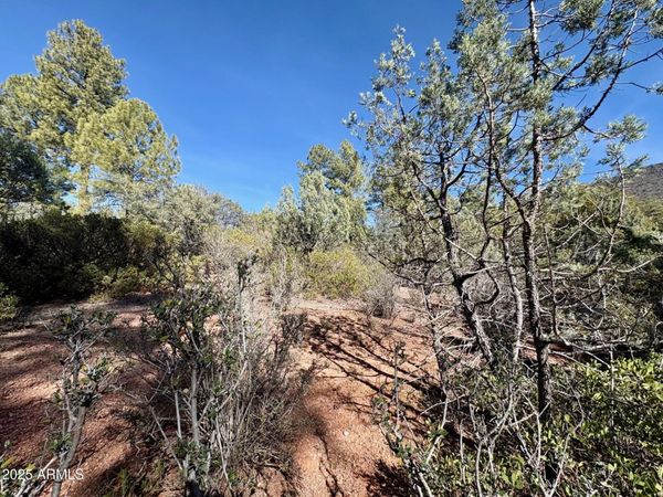 19 N ELK RUB Lane, Unit 19, Pine, AZ 85544