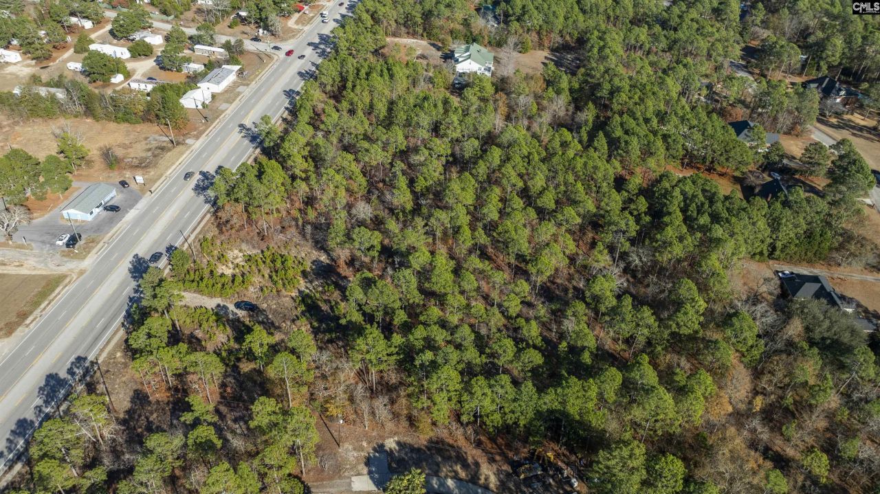 5017 & 5025 Platt Springs Road Photo 4