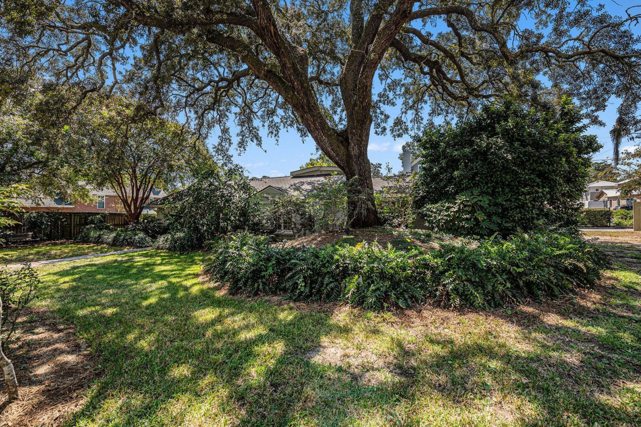 605 Ann Street Photo 28