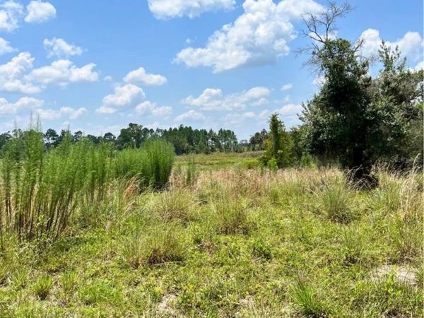 STEWARD ROAD, EUSTIS, FL 32726