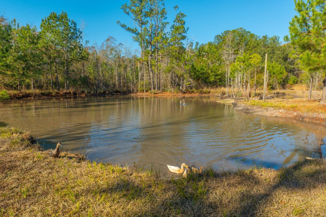 565 Tolle Farm Road Photo 18