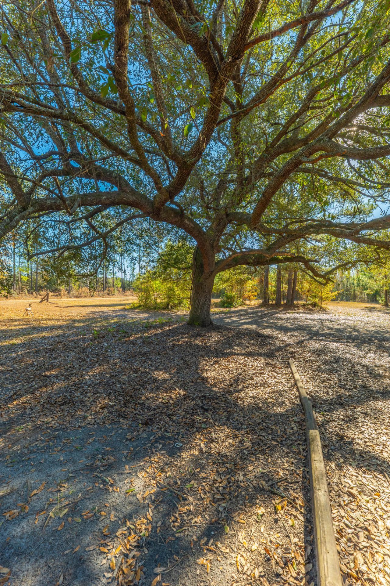 565 Tolle Farm Road Photo 19