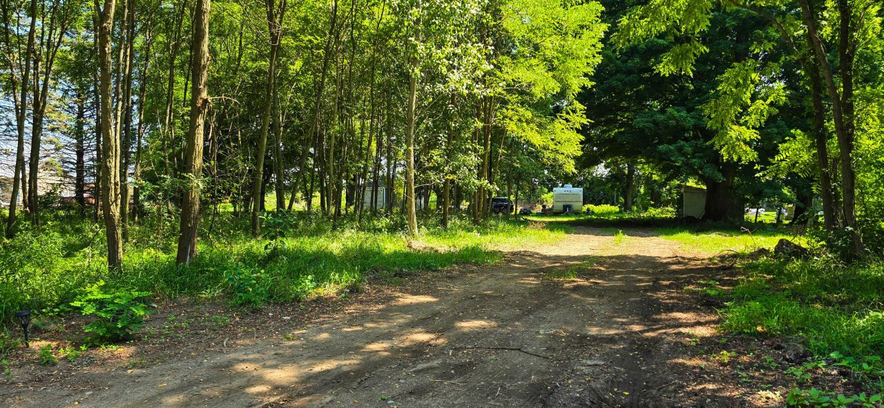 211 S Ray Quincy Road, Quincy, MI 49082 Main Photo