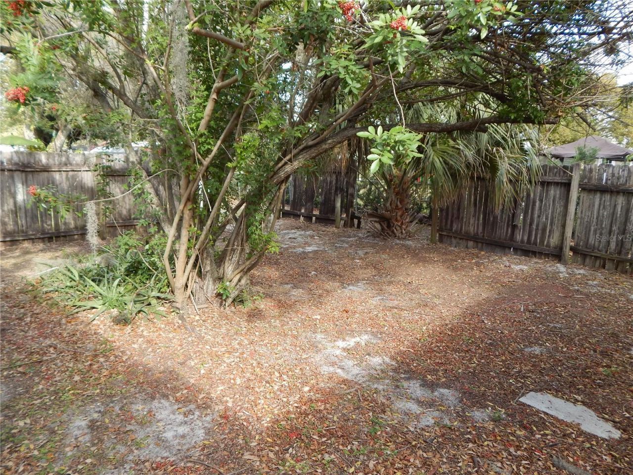 2505 Coral Avenue, Kissimmee, FL 34741 Photo