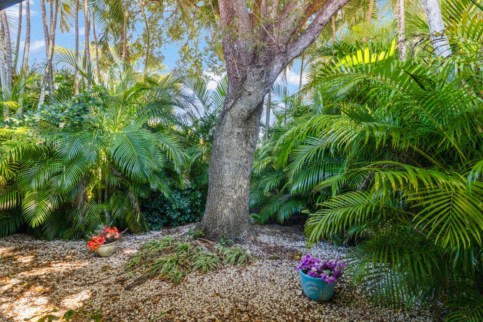 5545 Lakeview Mews Terrace, Boynton Beach, FL 33437 Photo