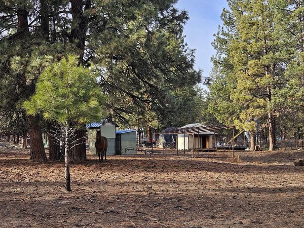 6232 Bufflehead Drive, Bonanza, OR 97623