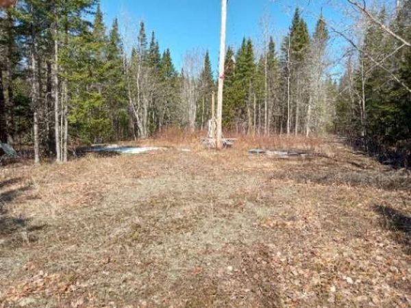 Lot 85 Woodland Ridge Road , Danforth, ME 04424
