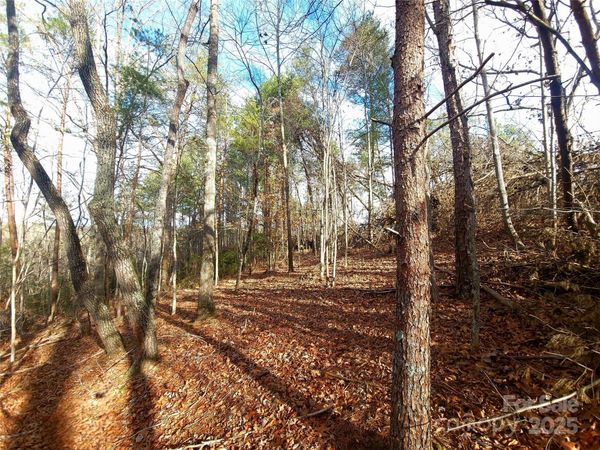 000 Skylark Lane, Tryon, NC 28782