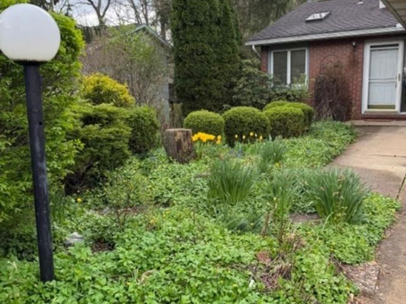 588 Forest Creek Drive, Wooster, OH 44691 Photo 2