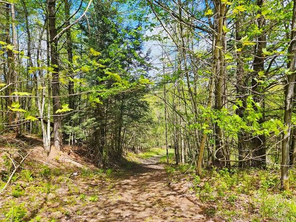 Lot 4 Berry Road, Berkshire, VT 05450