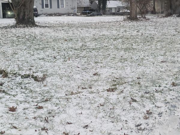 1337 N Olive Street, South Bend, IN 46628